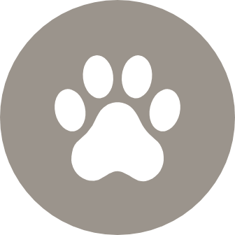 Watch&nbsp;Fido run in
the dog park
